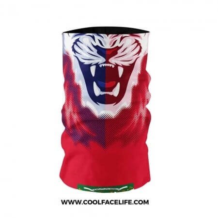 Glow-Haiti-Flag-1