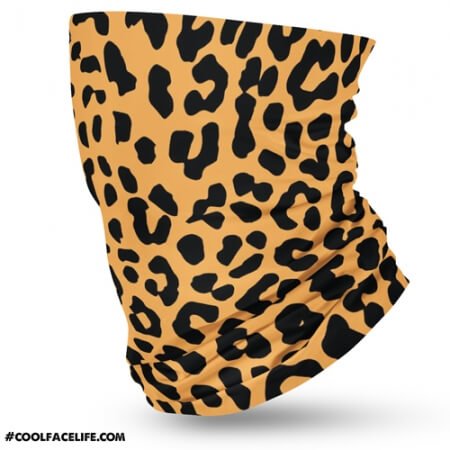 Leopard--2