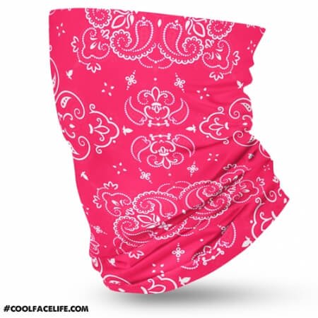 Pink-Paisley