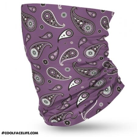 Purple-Paisley-1