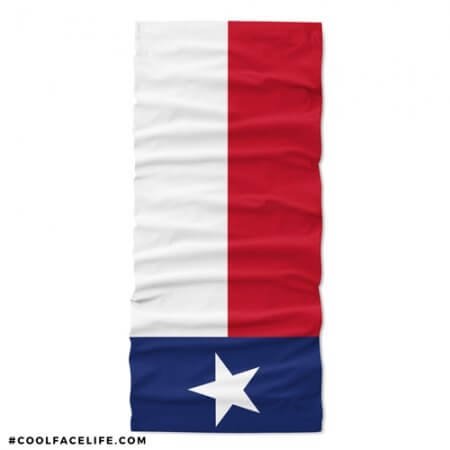 Texas Flag
