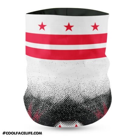 Washington DC Flag