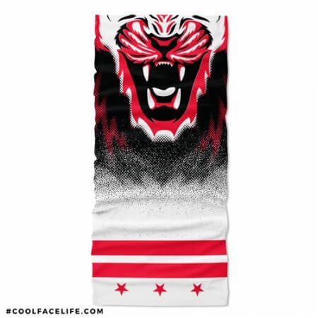 Washington DC Flag