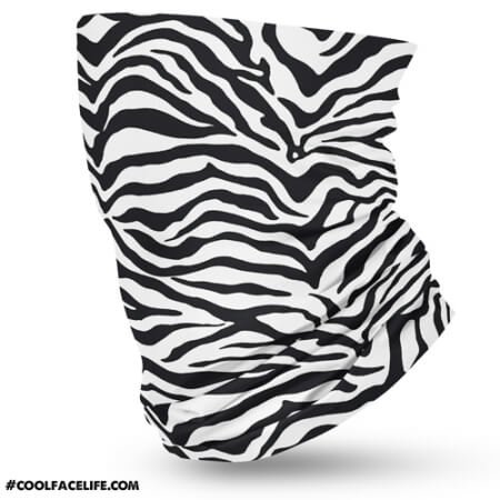 Zebra--1