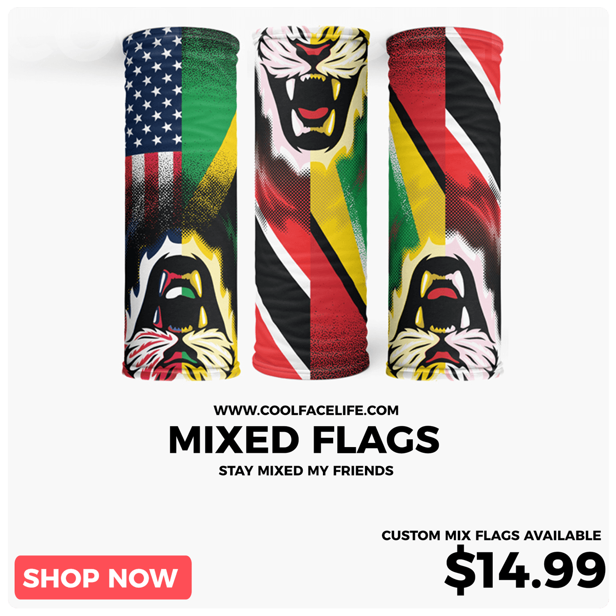 mIXED fLAGS