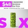 Buy 6 Randoms for $48